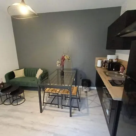 La Chouette Dans L'arbre - T2 Sur Cour Au Calme