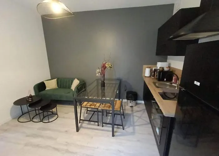 La Chouette Dans L'arbre - T2 Sur Cour Au Calme